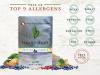 Free of Top 9 Allergens